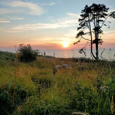 Les Epinettes Hébergement de vacances Pleneuf-Val-Andre